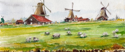 Sheep and Windmills