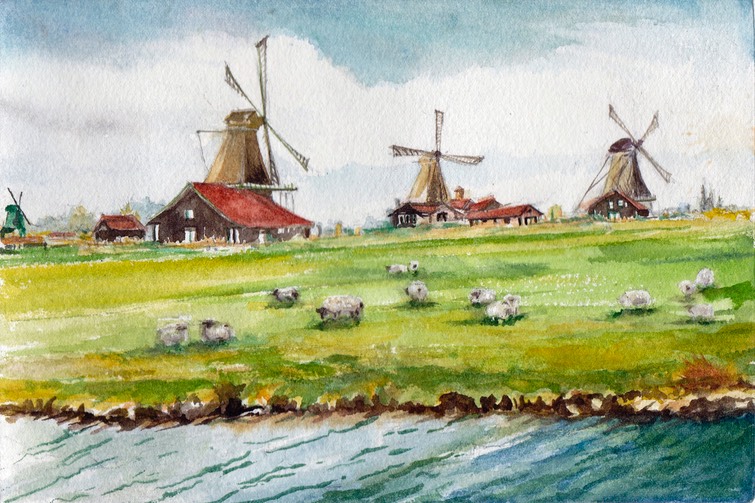 Sheep and Windmills